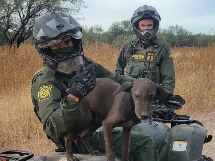 Realiza Patrulla Fronteriza varias acciones en Arizona