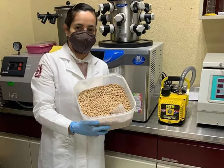 Investiga IPN beneficios de las propiedades del garbanzo contra cáncer de colon