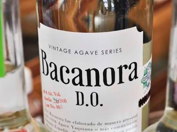 Invitan a regularizar producción del bacanora