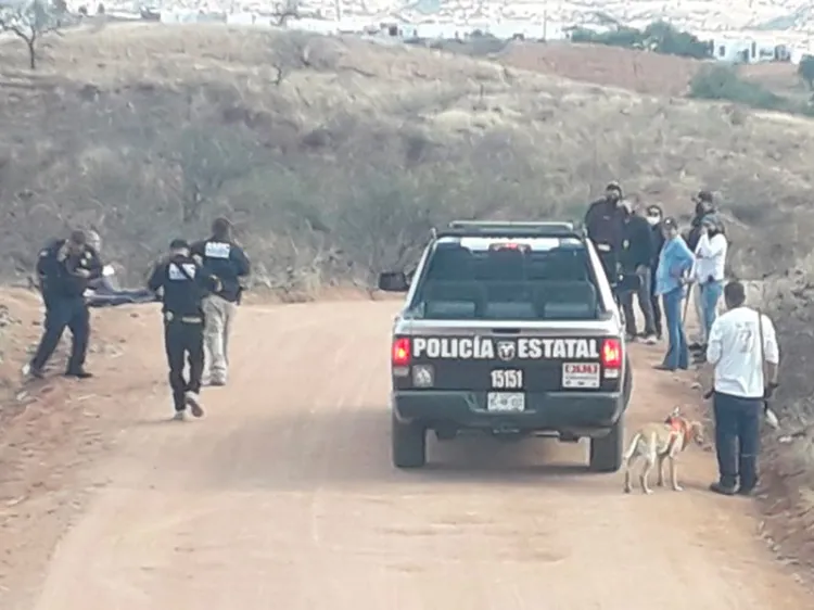 Intensifican búsqueda de Bogar