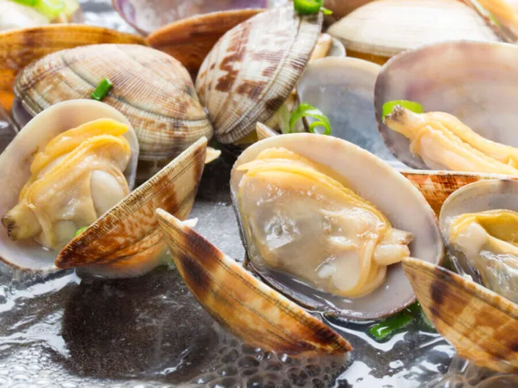 Alerta por veda de moluscos bivalvos en Caborca y Peñasco