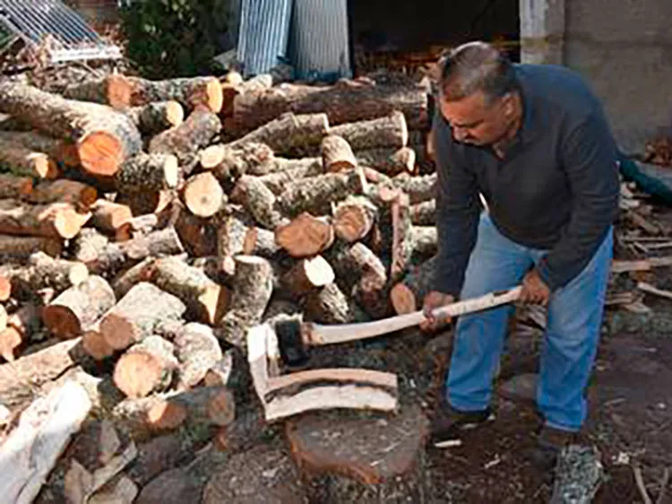 Sancionarán con 80 mil pesos a vendedores de leña sin permiso
