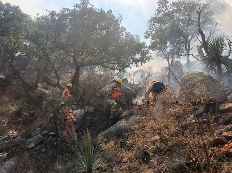 Controlan incendio forestal de Aconchi