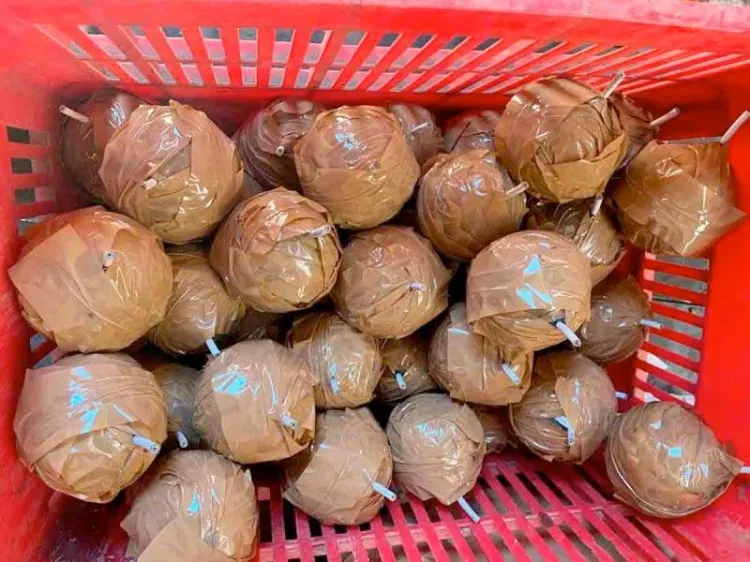 Hallan material explosivo en inmueble en Michoacán