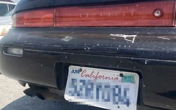 Inicia regularización de ‘pafas’