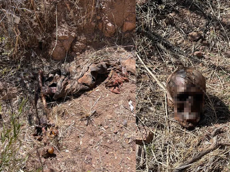 Localizan restos óseos en Nogales 