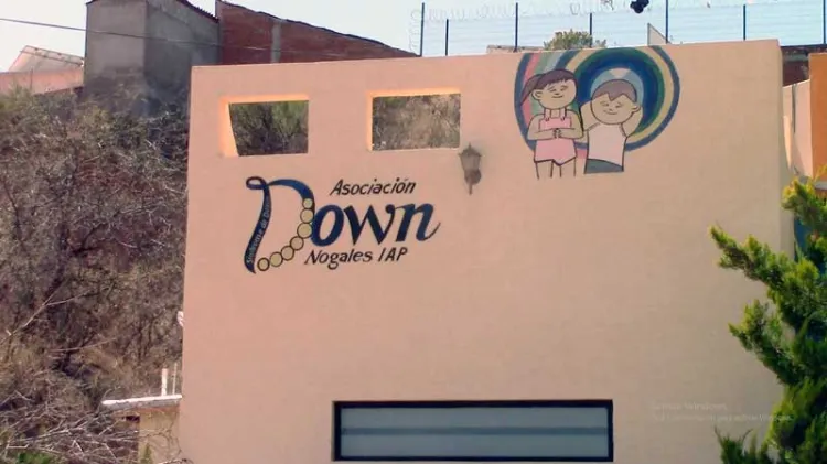 Venden calcetas impares