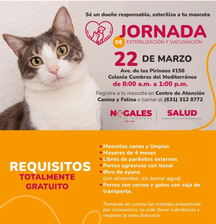 Anuncian nueva campaña de esterilización 