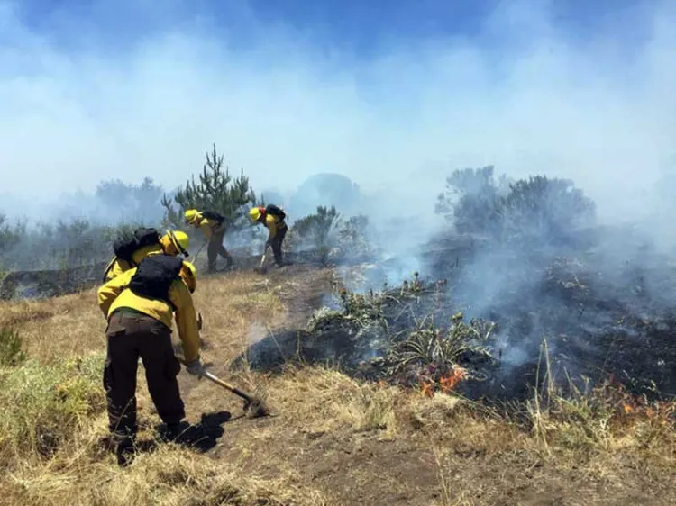 Solicitan personal para combatir incendios