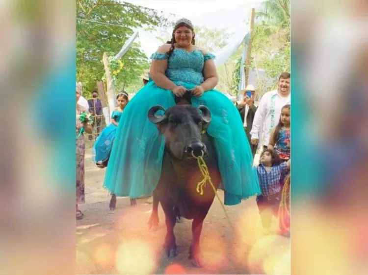 ¡Llega quinceañera montada en búfalo a su fiesta… y las redes estallan!