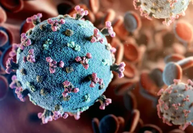 Una lamentable trayectoria a nivel mundial la pandemia del Covid-19