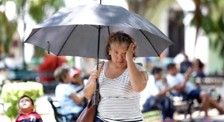 Pronostican bastante calor durante la semana