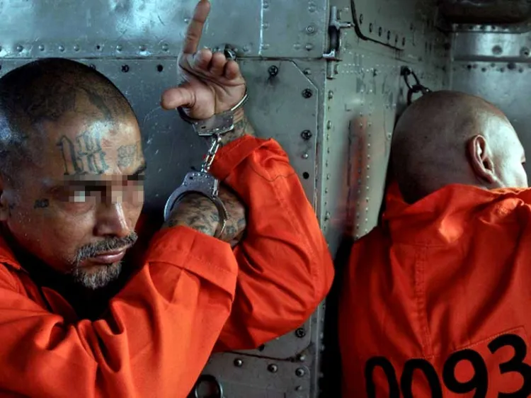 Podría Mara Salvatrucha llegar a México: alcalde de El Salvador