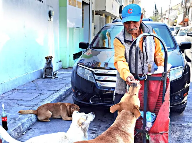 Alimenta a sus amigos de cuatro patas