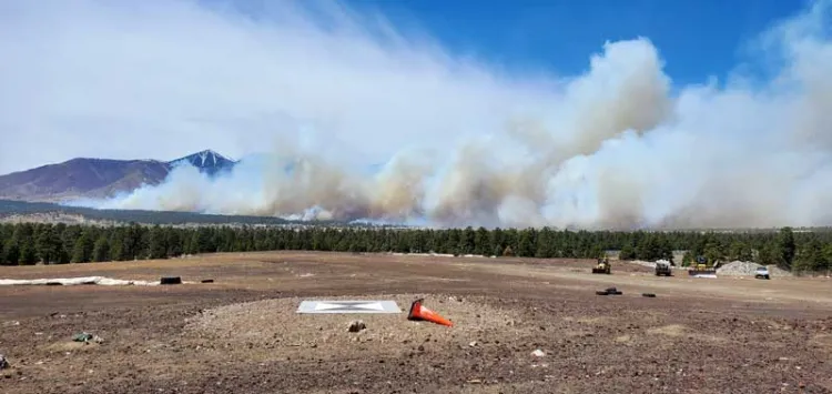 Evacúan cientos de hogares en Arizona por incendio forestal