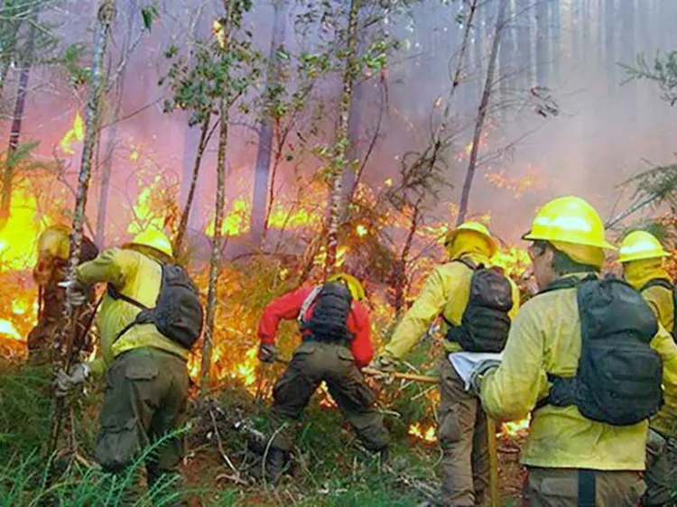 Pide Protección Civil precaución al salir de día de campo