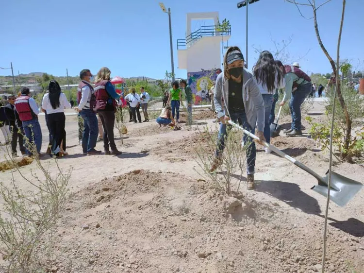 Celebran Día de la Tierra con plantación de árboles