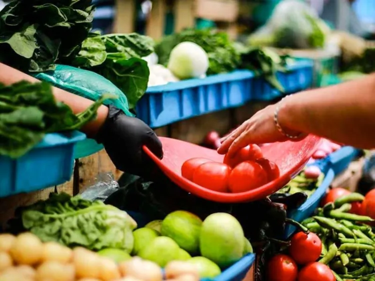 Buscan alternativas ante altos precios