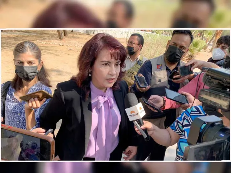 Continúan investigaciones sobre intento de robo de bebé