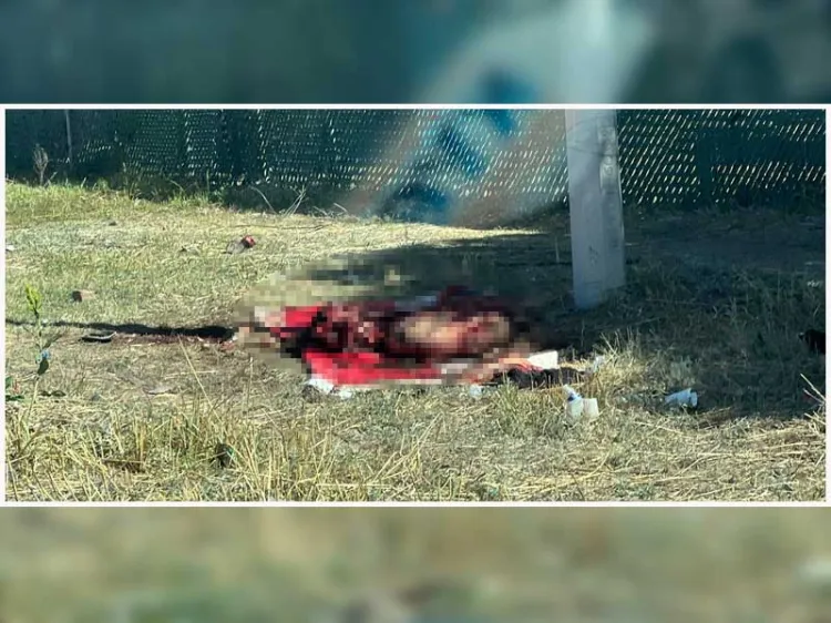 Causa confusión cuerpo de vaca desmembrado