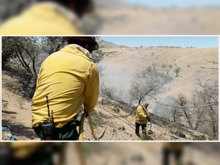 La mayoría de incendios forestales son provocados: Saavedra
