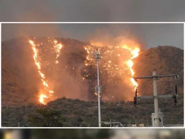 Combaten incendio forestal en cerro del Bachoco