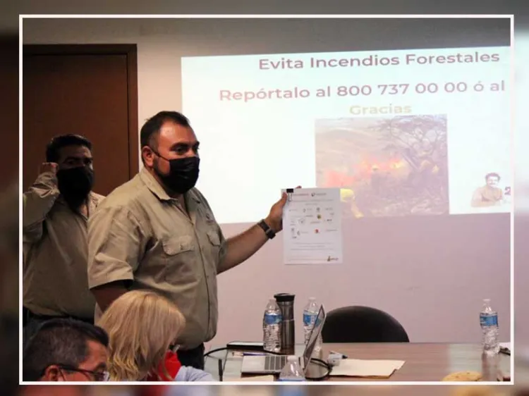 Aumentan incendios forestales en Sonora