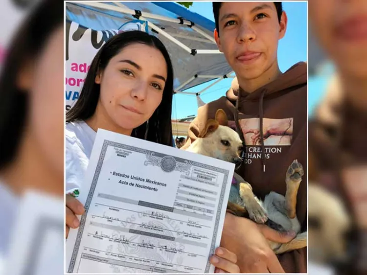 <b>Hacen feria de adopción de mascotas </b>