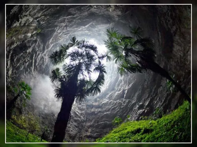 Descubren bosque nunca antes visto a interior de ‘pozo celestial’