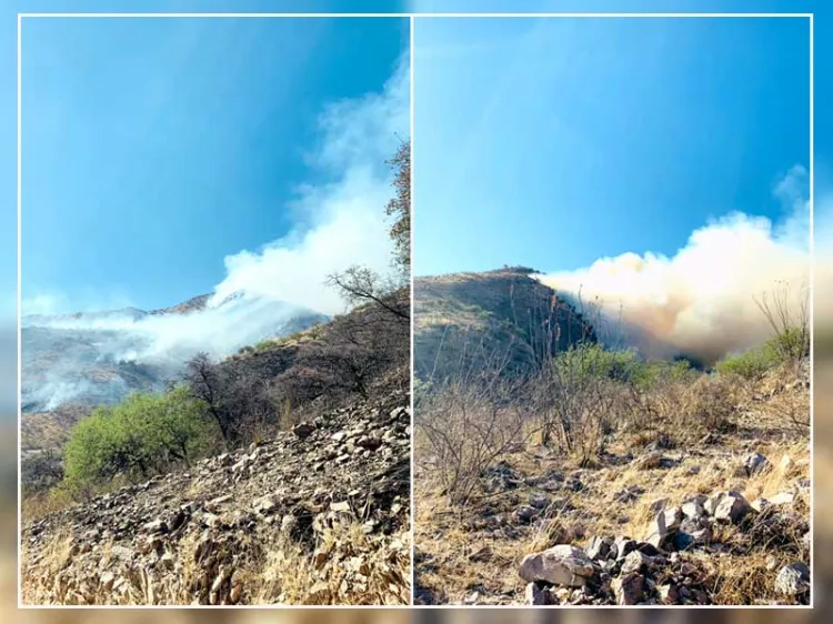 Avanza combate a incendio forestal en Ímuris