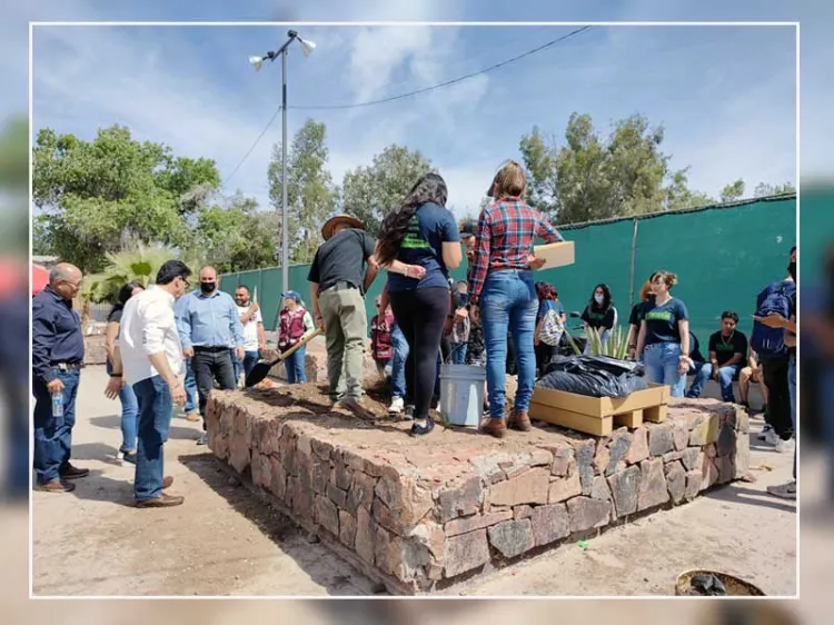Plantan ‘jacarandas’ en unidad deportiva