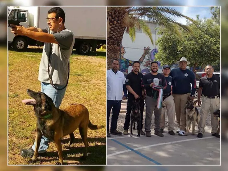 Despiden con honores a oficial K9 Mika