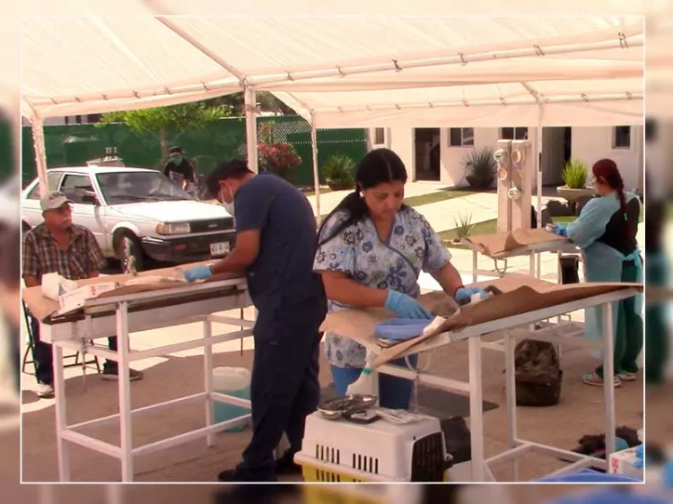 Continúan con campaña de esterilización