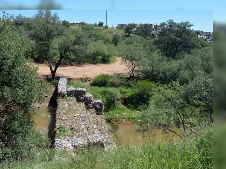 Disminuye afectaciones mantenimiento de represos ante lluvias: JGN