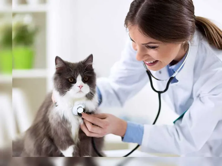 Celebran en esta frontera el Día del Médico Veterinario