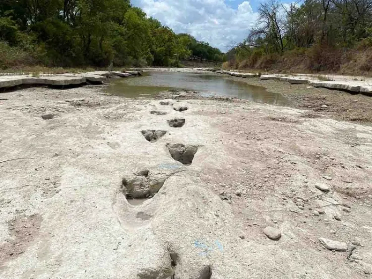 Encuentran huellas de dinosaurios en Texas