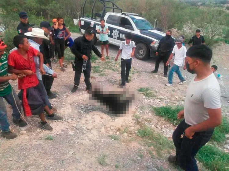 Va Profepa contra quienes torturaron y asesinaron a osezna