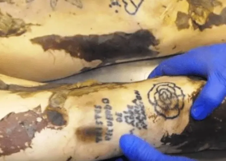 Reconocen cadáveres por tatuajes en Arizona