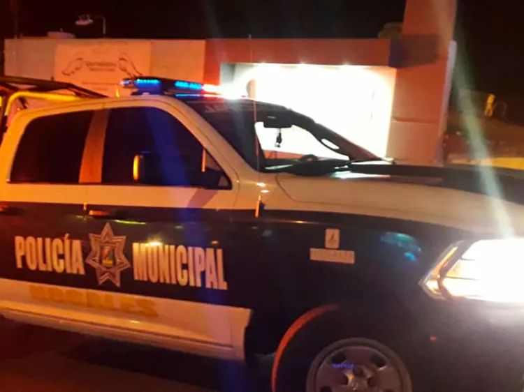 Arrestan a tres punibles