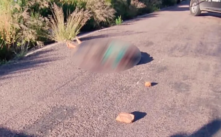 Dos ejecutados en las últimas horas