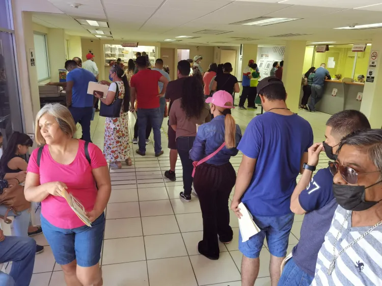 Supera demanda, la oferta de placas