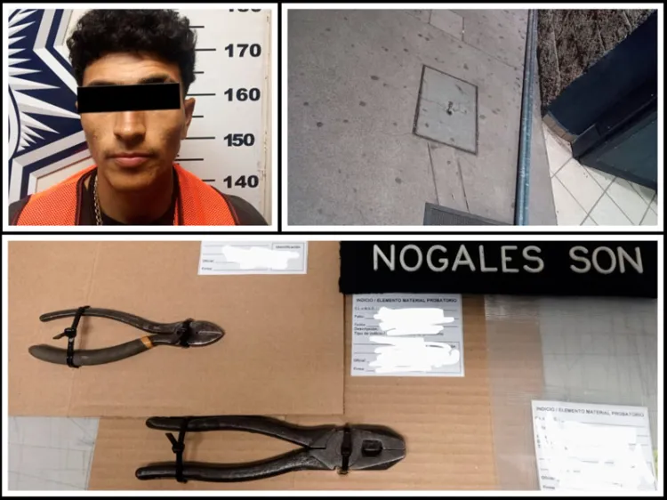 Detenido en pleno robo en La Mesa