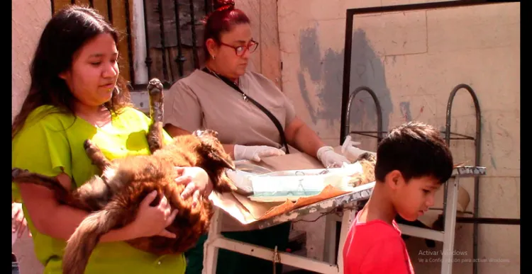 Llevarán campaña de esterilización de mascotas a El Cíbuta