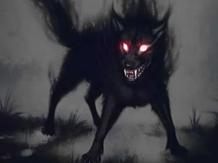 Surge ‘perro del infierno’ nueva variante de Covid-19