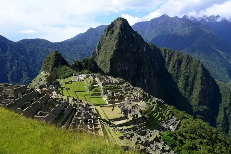 Descubren nuevas especies de plantas en Perú