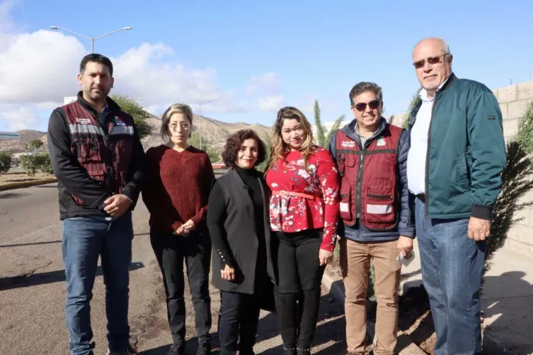 Reponen 247 árboles con reforestación en El Greco