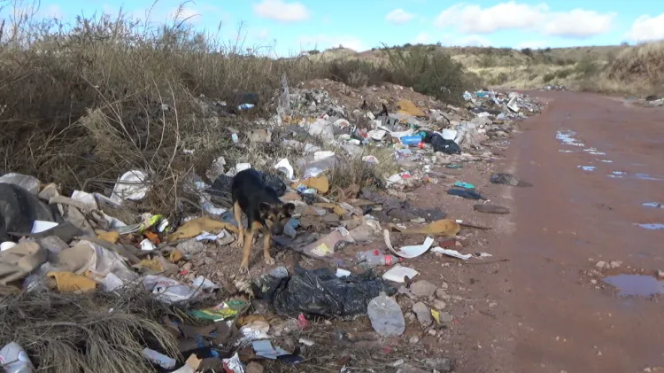 Convierten camino de terracería en basurero clandestino