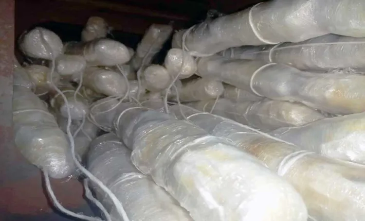 Asegura Sedena fentanilo y metanfetamina en Nogales