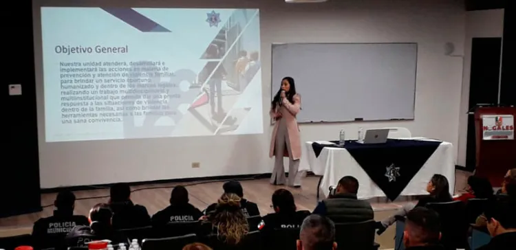 Violencia intrafamiliar ‘golpea’ a nogalenses