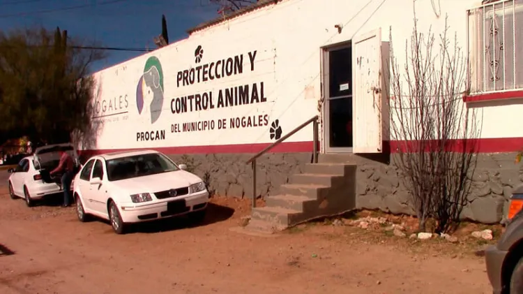 Nogales, municipio líder en esterilizaciones de mascotas